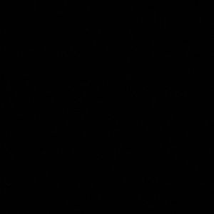 Meet your Posher, Anna and rachel